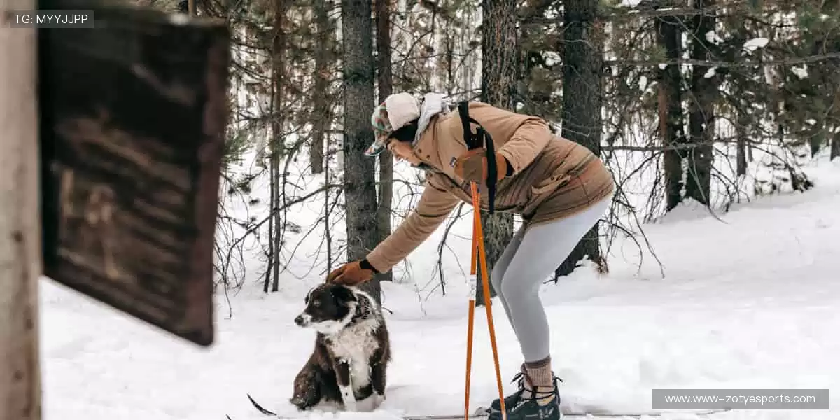 ⚽ 绿茵战场，群雄逐鹿！与千万球迷共赴荣耀盛宴！